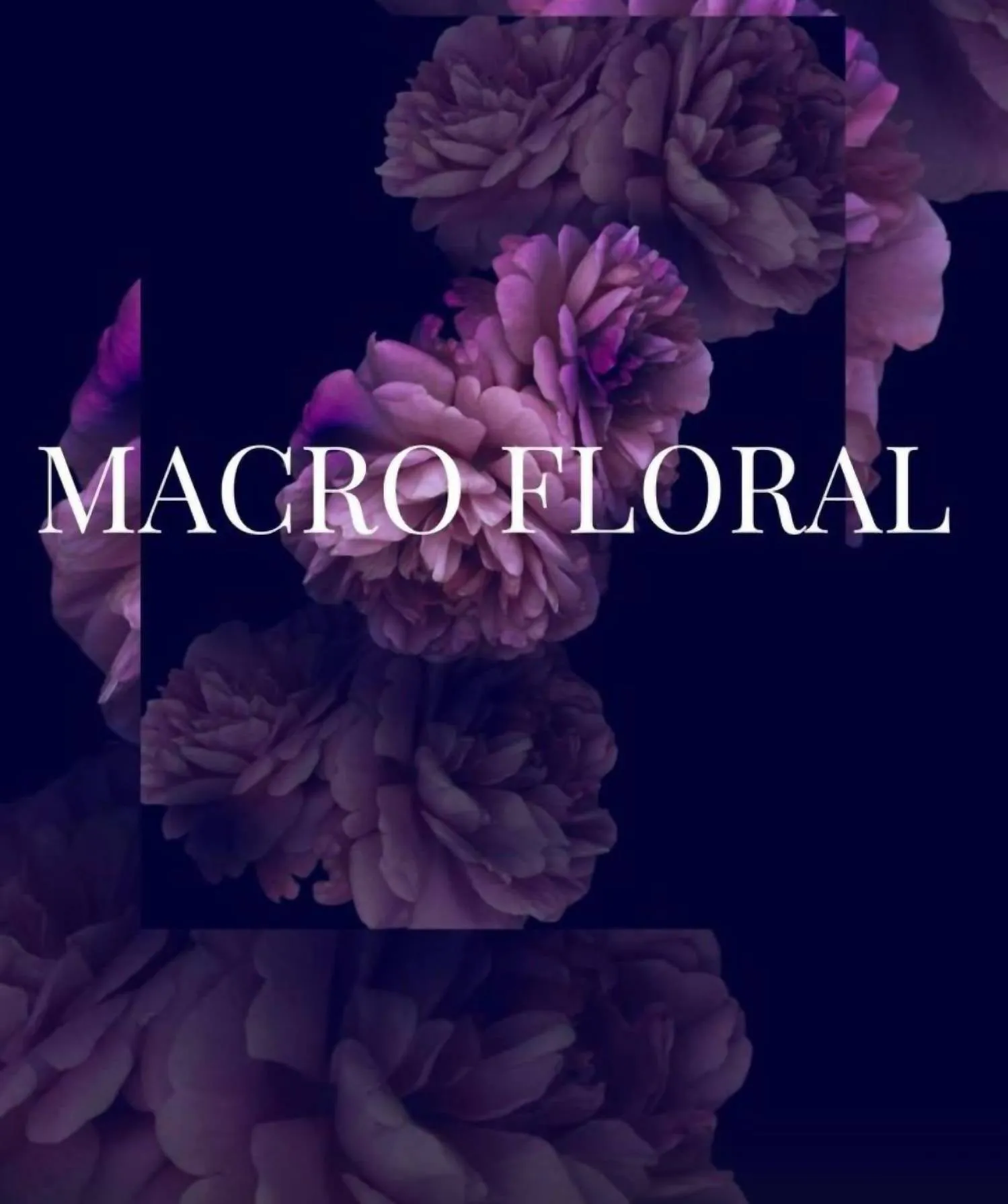 Brooks Bodysuit In Macro Floral