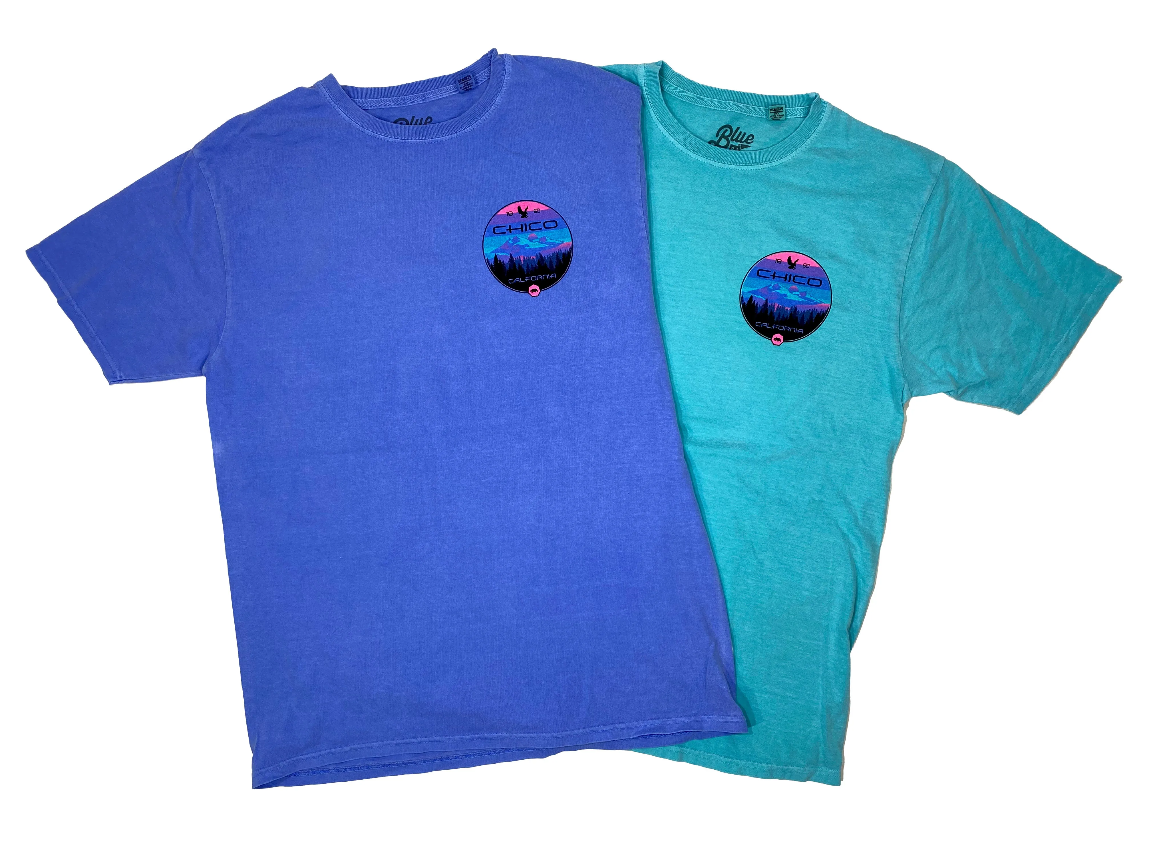 Disunion Mountain - Chico T-Shirt
