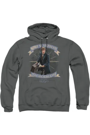 Fantastic Beasts Newt Scamander Adult Pull Over Hoodie / Hooded Sweatshirt